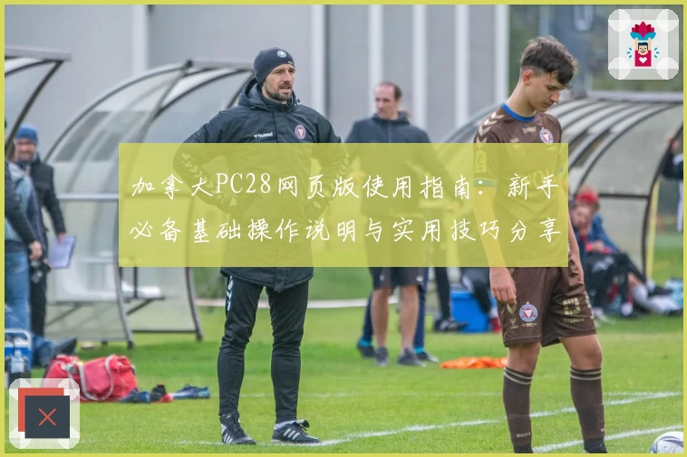 加拿大PC28网页版使用指南：新手必备基础操作说明与实用技巧分享