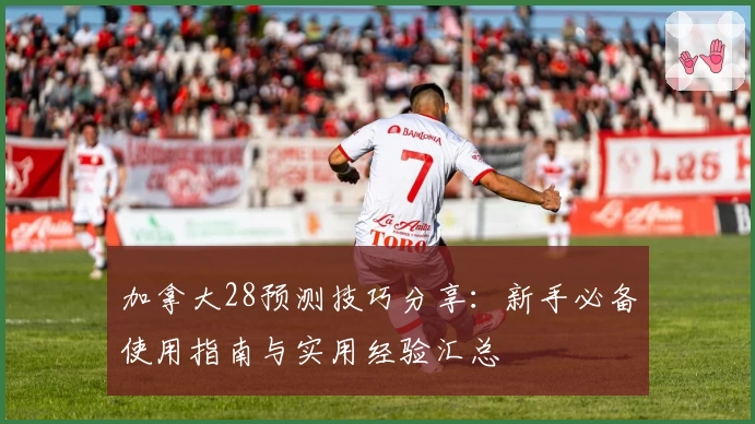 加拿大28预测技巧分享：新手必备使用指南与实用经验汇总