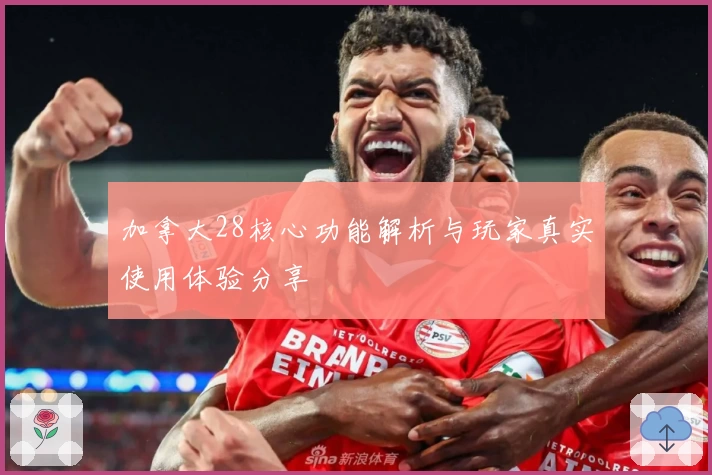 加拿大28核心功能解析与玩家真实使用体验分享