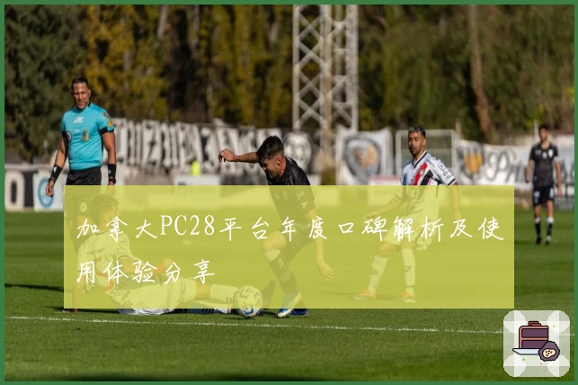 加拿大PC28平台年度口碑解析及使用体验分享