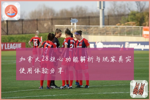 加拿大28核心功能解析与玩家真实使用体验分享