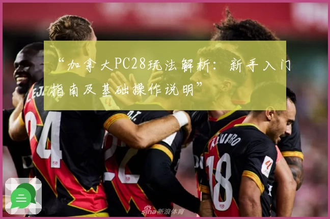 “加拿大PC28玩法解析：新手入门指南及基础操作说明”