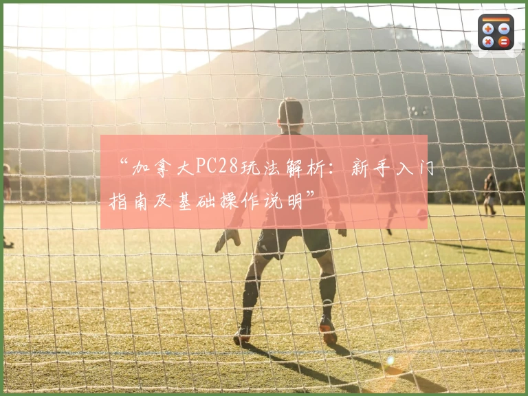 “加拿大PC28玩法解析：新手入门指南及基础操作说明”