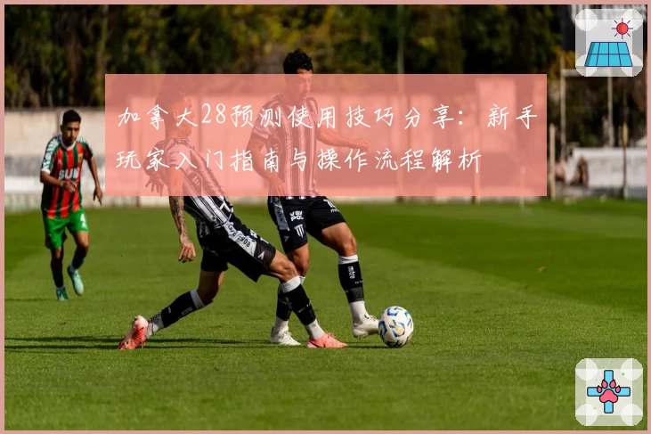 加拿大28预测使用技巧分享：新手玩家入门指南与操作流程解析