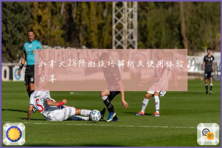 加拿大28预测技巧解析及使用体验分享