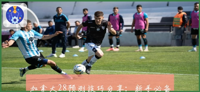 加拿大28预测技巧分享：新手必备使用指南与实用经验汇总