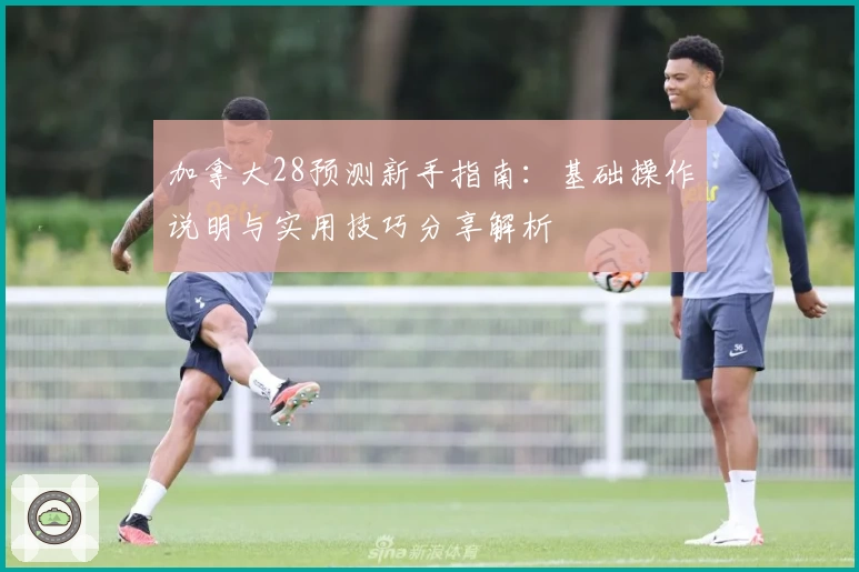 加拿大28预测新手指南：基础操作说明与实用技巧分享解析