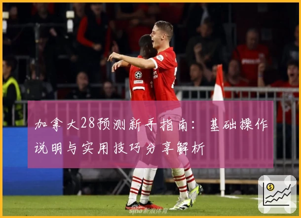 加拿大28预测新手指南:基础操作说明与实用技巧分享解析