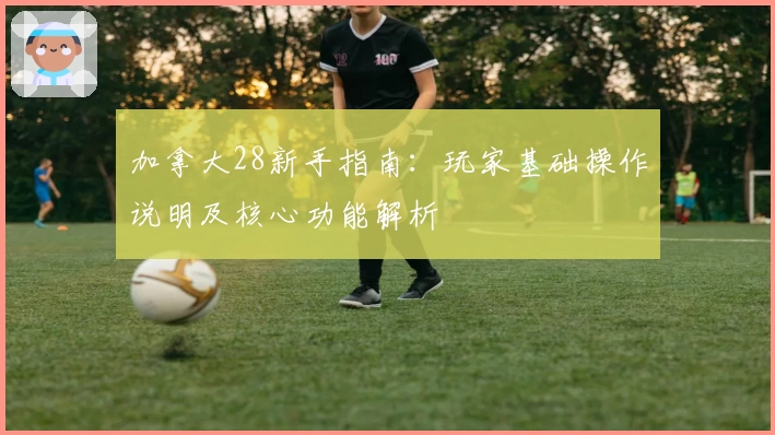 加拿大28新手指南：玩家基础操作说明及核心功能解析