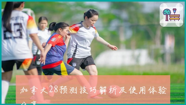 加拿大28预测技巧解析及使用体验分享