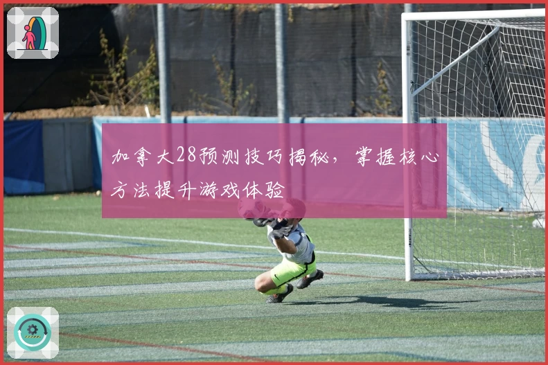加拿大28预测技巧揭秘，掌握核心方法提升游戏体验
