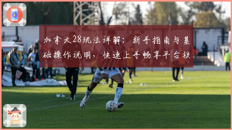 加拿大28玩法详解：新手指南与基础操作说明，快速上手畅享平台核心功能