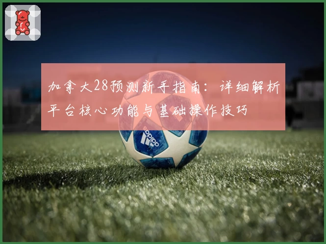 加拿大28预测新手指南：详细解析平台核心功能与基础操作技巧